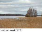 Космозеро (Карелия) Стоковое фото, фотограф Самохвалов Артем / Фотобанк Лори