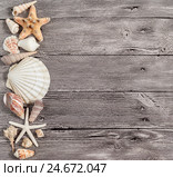 Морские звезды и ракушки лежат на деревянном столе. Стоковое фото, фотограф Олег Белов / Фотобанк Лори