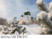 Церковь Рождества Иоанна Предтечи в Старой Ладоге зимой. Стоковое фото, фотограф Самохвалов Артем / Фотобанк Лори
