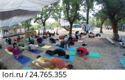 Group hatha yoga on ethno esoteric festival (2016 год). Редакционное видео, видеограф Потийко Сергей / Фотобанк Лори