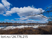 Spring landscape with debacle, river, forest and clouds on blue sky. Стоковое фото, фотограф Оксана Владимировна Грачева / Фотобанк Лори