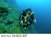 Дайвер и рачки Acanthogammarus (victorii maculosus), озеро Байкал (2012 год). Редакционное фото, фотограф Некрасов Андрей / Фотобанк Лори