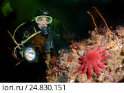 Ice diving in Russian Arctic (2009 год). Редакционное фото, фотограф Некрасов Андрей / Фотобанк Лори