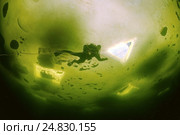 Ice diving in Russian Arctic. Стоковое фото, фотограф Некрасов Андрей / Фотобанк Лори