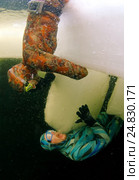 Ice diving, free diving, (2009 год). Редакционное фото, фотограф Некрасов Андрей / Фотобанк Лори