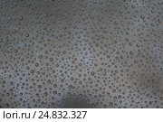 Drops on a gray background. Стоковое фото, фотограф Виталий Веревкин / Фотобанк Лори
