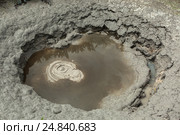Mudpot in the Uzon Caldera. Kronotsky Nature Reserve (2016 год). Редакционное фото, фотограф Юлия Машкова / Фотобанк Лори