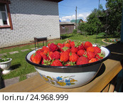 Спелая клубника. Стоковое фото, фотограф Татьяна Матвейчук / Фотобанк Лори