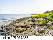 Ракушечник на берегу Таганрогского залива Азовского моря (2015 год). Стоковое фото, фотограф Алёшина Оксана / Фотобанк Лори