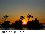Silhouette of palm trees at sunset on the island of Boracay, Philippines. Стоковое фото, фотограф Ершов Максим / Фотобанк Лори