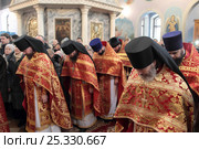Праздничная литургия в Гуслицком монастыре (2017 год). Редакционное фото, фотограф Дмитрий Неумоин / Фотобанк Лори