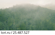 Aerial View of the Mountain Evergreen Forest with Fog. Стоковое видео, видеограф Discovod / Фотобанк Лори