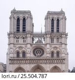 Notre Dame Cathedral on a winter day (2017 год). Стоковое фото, фотограф Александр Перепелицын / Фотобанк Лори