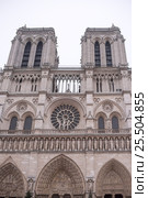 Notre Dame Cathedral on a winter day (2017 год). Стоковое фото, фотограф Александр Перепелицын / Фотобанк Лори