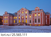 Санкт-Петербург. Кикины палаты (2017 год). Стоковое фото, фотограф Литвяк Игорь / Фотобанк Лори