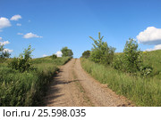 Дорога в поле. Стоковое фото, фотограф Андрей Игошев / Фотобанк Лори
