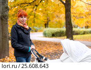 Girl in the autumn forest. Стоковое фото, фотограф Евгений Лосев / Фотобанк Лори