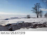 Незамерзающий ручей впадает в Финский залив. Зимний пейзаж. Стоковое фото, фотограф Юлия Бабкина / Фотобанк Лори