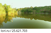 Flooded quarry on nature. Стоковое видео, видеограф Потийко Сергей / Фотобанк Лори