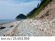 Берег острова Кунашир из гряды Курильских островов. Вид с корабля. Стоковое фото, фотограф Денис Черкашин / Фотобанк Лори