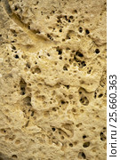 The cavernous globigerina limestone injured by the severe weathering, Malta (2015 год). Стоковое фото, фотограф Сергей Пристяжнюк (Serg Zastavkin) / Фотобанк Лори