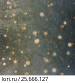 Abstract multicolored painted background with spots. Стоковое фото, фотограф Lora Liu / Фотобанк Лори