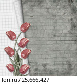 Red tulips with notebook sheet on background brick wall. Стоковое фото, фотограф Lora Liu / Фотобанк Лори