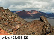 Cinder cone of North Breakthrough Great Tolbachik Fissure Eruption 1975 (2016 год). Редакционное фото, фотограф Юлия Машкова / Фотобанк Лори