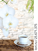Black coffee and orchid. Стоковое фото, фотограф Феликс Хромых / Фотобанк Лори