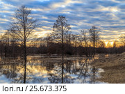 Spring landscape, pour a river flooded trees. Стоковое фото, фотограф Вадим Бочкарев / Фотобанк Лори