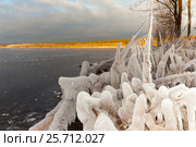 The shore of a frozen lake. Стоковое фото, фотограф Виталий Веревкин / Фотобанк Лори