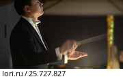 Ufa, RUSSIA - NOVEMBER 19, 2015: Symphony Orchestra at the Bashkir Theater of Opera and Ballet, Ufa. Редакционное видео, видеограф Mikhail Erguine / Фотобанк Лори