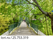 SAINT-PETERSBURG, RUSSIA - MAY 17, 2016: Makarovsky bridge is pedestrian bridge across the Petrovsky ravine. Kronstadt, Russia. Редакционное фото, фотограф Галина Ермолаева / Фотобанк Лори