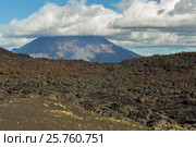 Lava field at Tolbachik volcano, after eruption in 2012 on background Big Udina volcano, Kamchatka (2016 год). Редакционное фото, фотограф Юлия Машкова / Фотобанк Лори