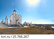 Церковь блаженной Ксении Петербургской в селе Арское (Россия) в полдень (2014 год). Стоковое фото, фотограф oleg savichev / Фотобанк Лори