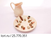 Easter table setting with eggs and nest. Стоковое фото, фотограф Дубровская Татьяна / Фотобанк Лори