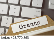Archive Bookmarks of Card Index with Inscription Grants. 3d. Стоковая иллюстрация, иллюстратор Илья Урядников / Фотобанк Лори