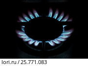 Включенная газовая конфорка. Стоковое фото, фотограф Евгений Кашпирев / Фотобанк Лори