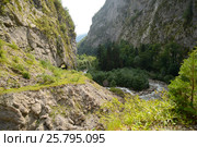 Старая лесовозная дорога вдоль реки Гега в Абхазии, Кавказ. Стоковое фото, фотограф Константин Бабенко / Фотобанк Лори