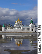 Свято-Троицкий Ипатьевский мужской монастырь, spring landscape (2016 год). Стоковое фото, фотограф ElenArt / Фотобанк Лори