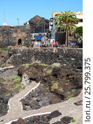 Крепость Castillo de San Miguel на побережье в Гарачико. Тенерифе, Канарские острова, Испания (2016 год). Редакционное фото, фотограф Кекяляйнен Андрей / Фотобанк Лори