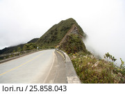 Mountain road in clouds, Yungas region, Bolivia, South America (2013 год). Стоковое фото, фотограф Жукова Юлия / Фотобанк Лори