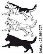 Running dog contour line on white. Стоковая иллюстрация, иллюстратор Анастасия Некрасова / Фотобанк Лори