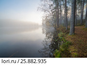 Misty forest lake. Стоковое фото, фотограф Виталий Веревкин / Фотобанк Лори