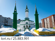 Мечеть "Хамза" в городе Уфе. Стоковое фото, фотограф Сергей Тагиров / Фотобанк Лори