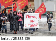 Активисты "Национально-освободительного движения" (НОД), несут плакат с надписью "Путин, мы с тобой!" (2017 год). Редакционное фото, фотограф Вадим Орлов / Фотобанк Лори