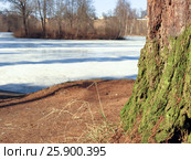 Замерзший пруд ранней весной. Рядом усадьба Мцыри. Середниково. (2007 год). Стоковое фото, фотограф Анатолий Заводсков / Фотобанк Лори