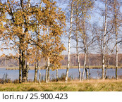 Осенний пейзаж с первым льдом на воде. Вашутино, река Химка (2004 год). Стоковое фото, фотограф Анатолий Заводсков / Фотобанк Лори