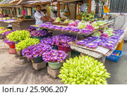 Flowers sold to be used as offerings in front of the Temple of the Tooth Relic in Kandy, Sri Lanka. Стоковое фото, агентство BE&W Photo / Фотобанк Лори