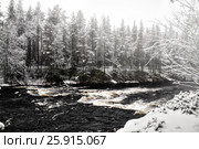 Зимний пейзаж. Река Понча. Россия. Республика Карелия. Стоковое фото, фотограф Наталья Осипова / Фотобанк Лори